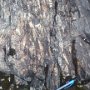 Stromatolites, Finland (Fot. Dorota Pietruszka)